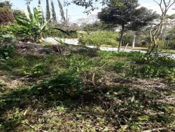 Área para Venda em Cotia - 5
