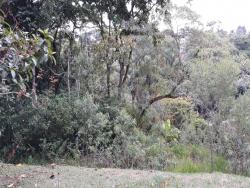 Área para Venda em Cotia - 5