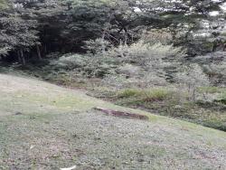 Área para Venda em Cotia - 4