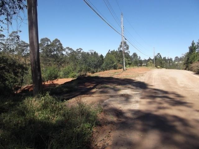 #197 - Área para Venda em Cotia - SP - 3