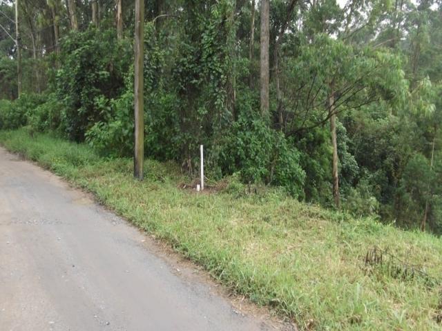 #197 - Área para Venda em Cotia - SP - 1