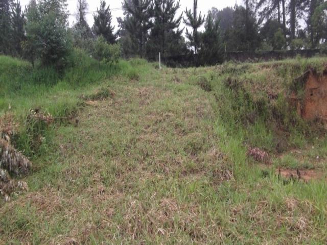 Área para Venda em Cotia - 5