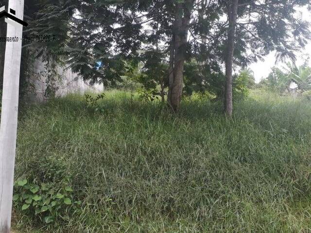Área para Venda em Cotia - 5