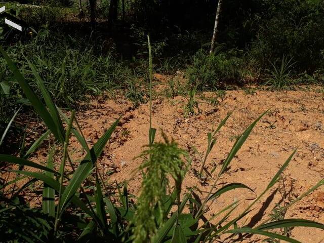 #240 - Terreno em condomínio para Venda em Vargem Grande Paulista - SP - 2