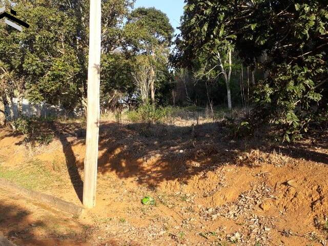 Área para Venda em Cotia - 5