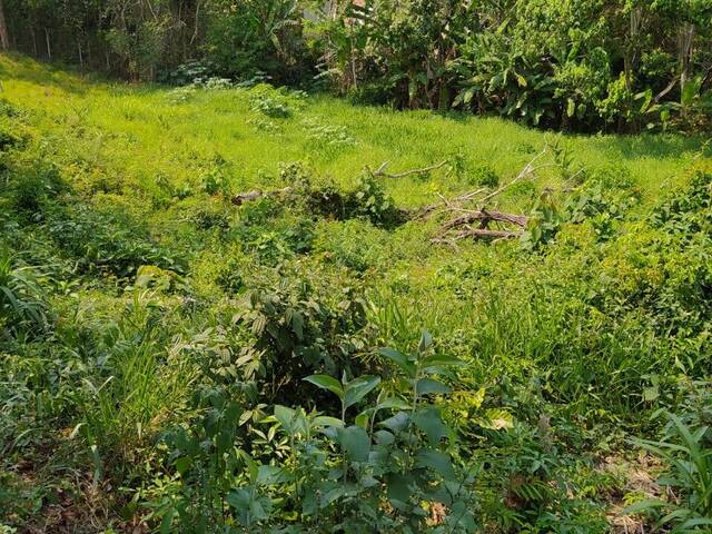 Venda em Jardim Nova Cotia - Itapevi