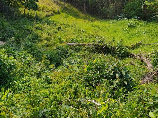 #306 - Terreno para Venda em Itapevi - SP - 2