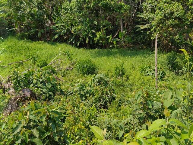 Terreno para Venda em Itapevi - 4