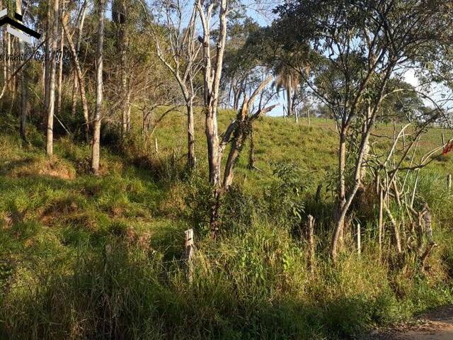 #309 - Terreno para Venda em Cotia - SP - 3