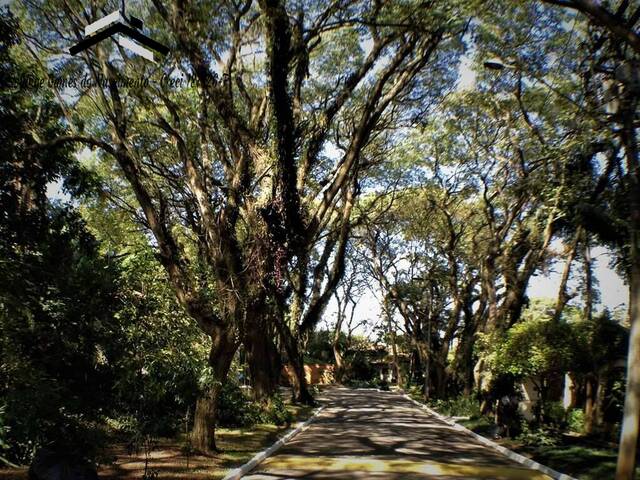 #346 - Casa para Venda em Cotia - SP - 2