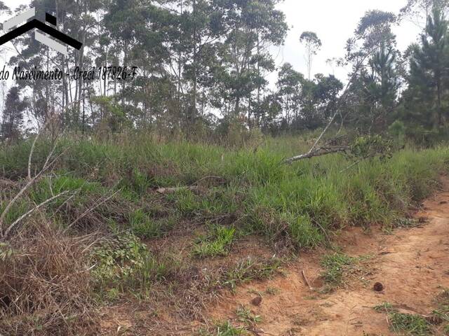 #468 - Terreno para Venda em Cotia - SP - 2
