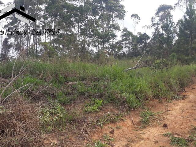 #468 - Terreno para Venda em Cotia - SP - 2